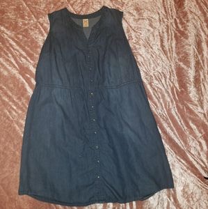 Plus Size Jean Dress